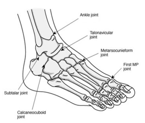 The Foot and Rheumatoid Arthritis | NRAS