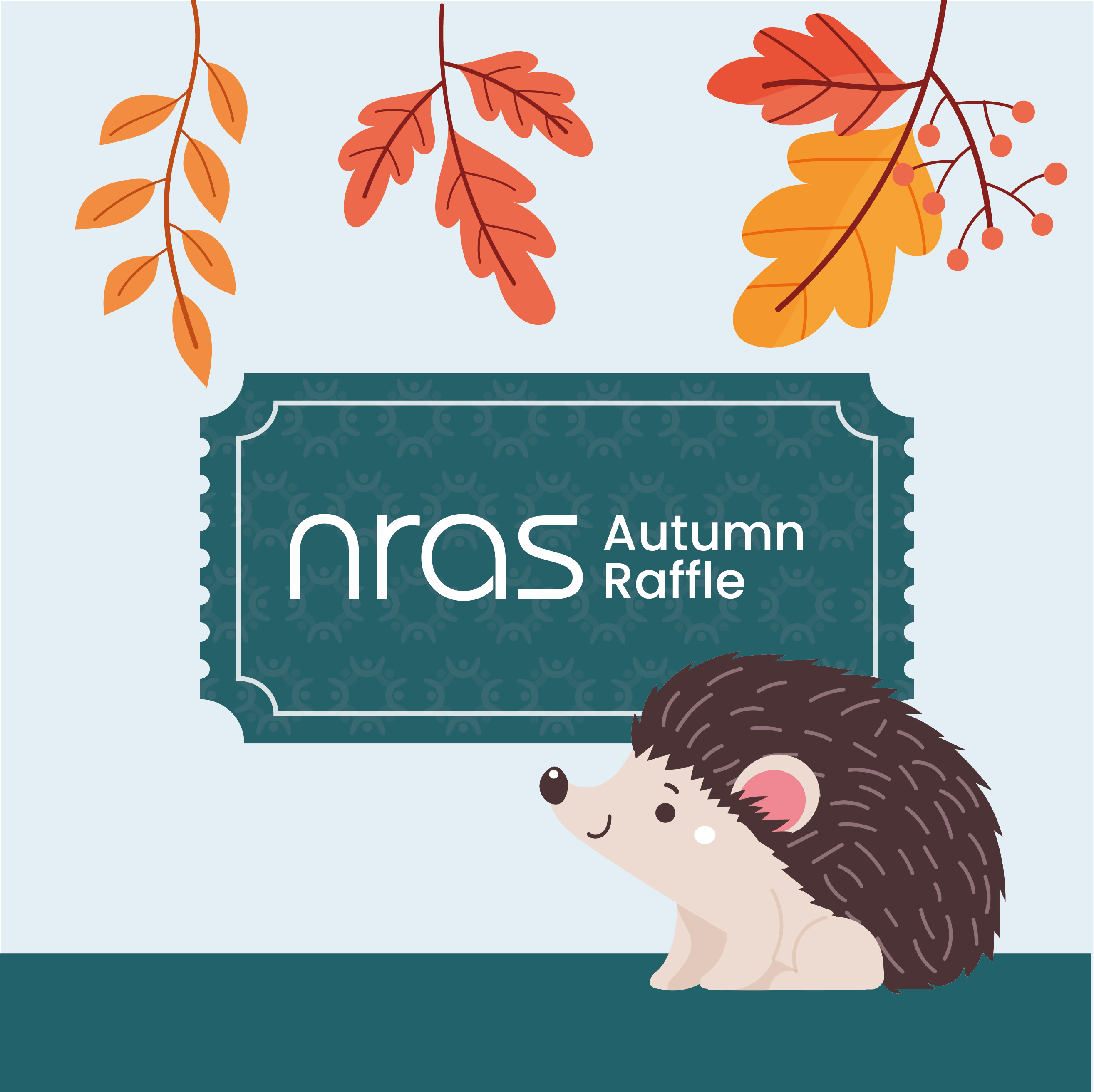 NRAS Autumn Raffle - T&Cs | Win Up To £25,000 | Support NRAS Today