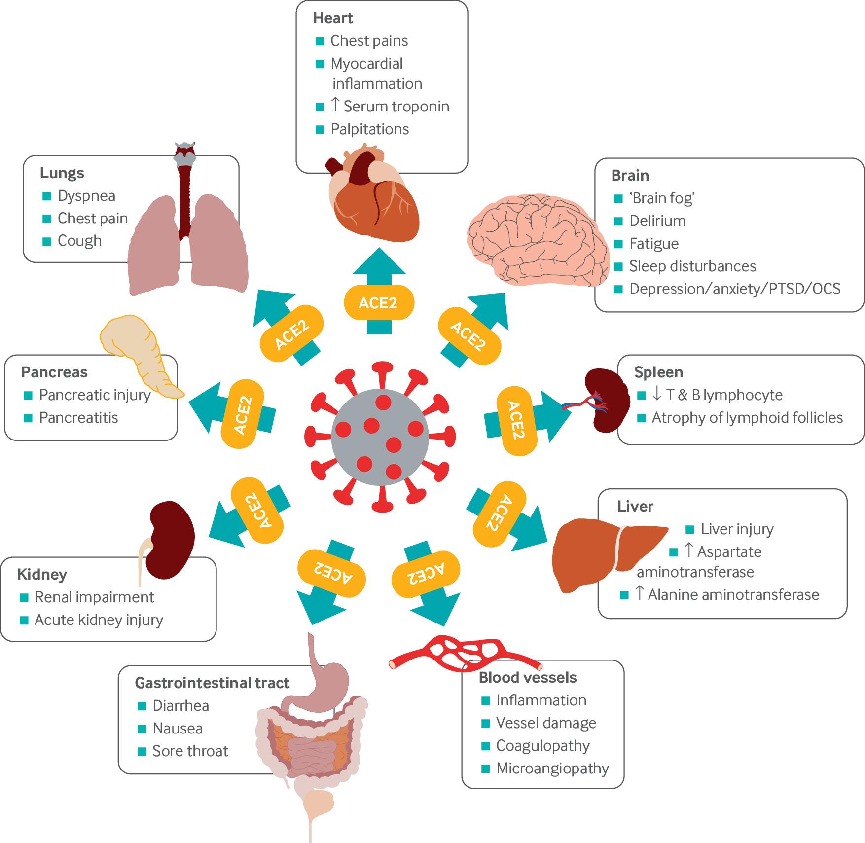 Information about Coronavirus (COVID19) [ARCHIVE] NRAS